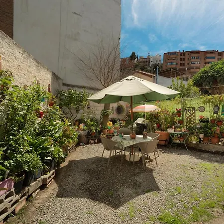 Bola De Oro Granada