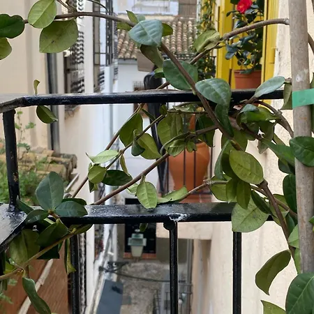 Stagging New Life Appartement Grenade