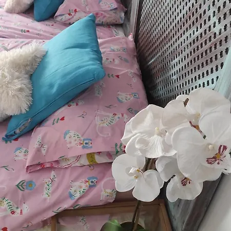 Apartamento Céntrico Piso Con Aparcamiento