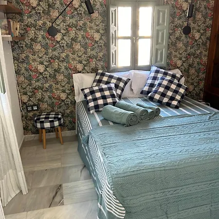 Apartamento Atico Olivos *