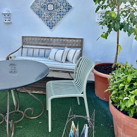 Apartamento Atico Olivos Granada