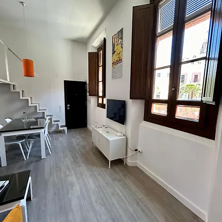 公寓 Romanilla Loft 格拉纳达