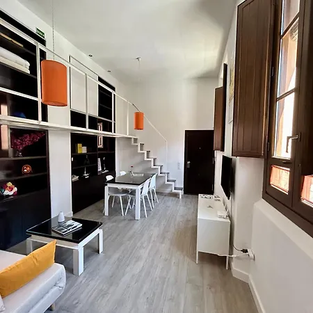 Romanilla Loft 公寓 格拉纳达