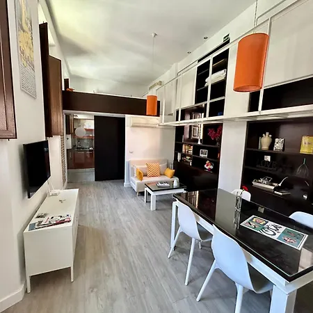 公寓 Romanilla Loft 格拉纳达