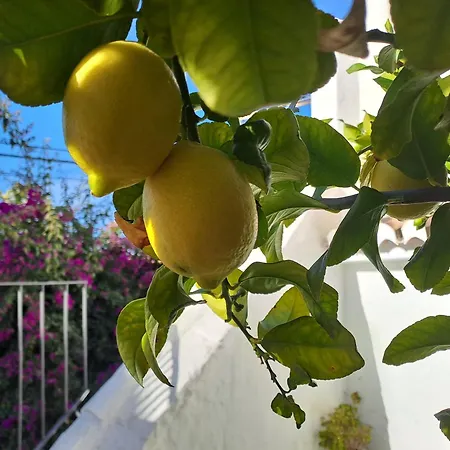 Apartamento Casa Alhambra - Centro Histórico Con Jardín Privado
