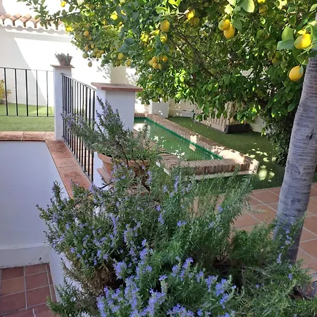 Apartamento Casa Alhambra - Centro Histórico Con Jardín Privado