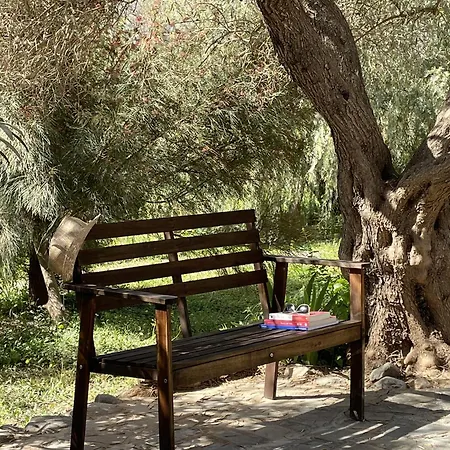 Holiday home Cortijo Olivos De *