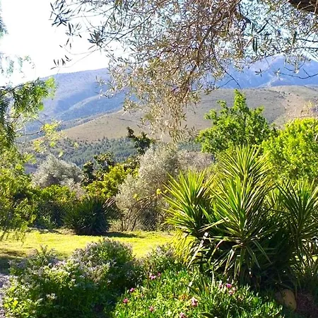 Holiday home Cortijo Olivos De Orgiva