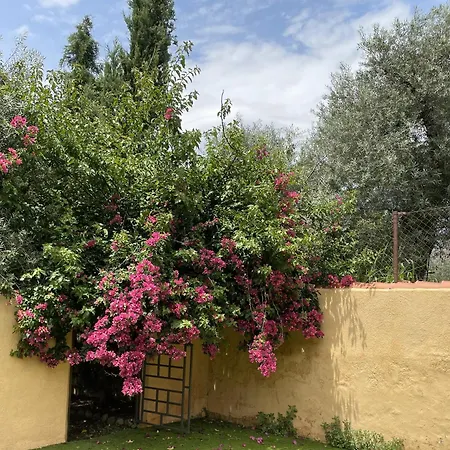 Cortijo Olivos De Holiday home *