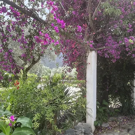 Holiday home Cortijo Olivos De Orgiva