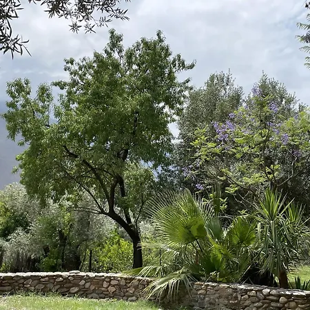 Cortijo Olivos De Holiday home *