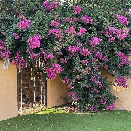Cortijo Olivos De Orgiva