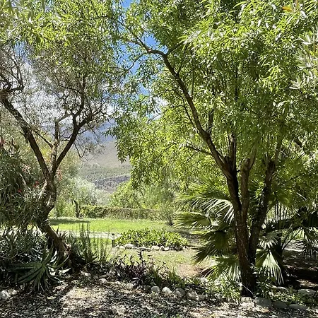 Cortijo Olivos De Orgiva