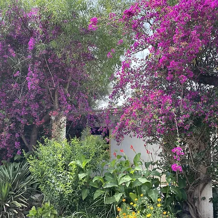 Cortijo Olivos De Holiday home
