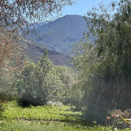 Cortijo Olivos De Holiday home *