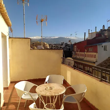 El Olivo Granada