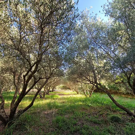 Cortijo Olivos De * Orgiva