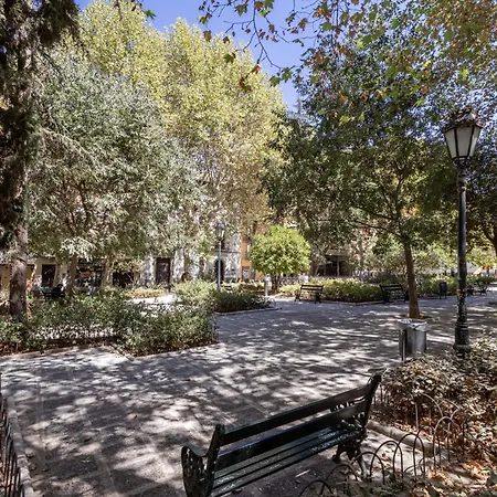 Dreaming Dona Luisa - Free Parking * Granada