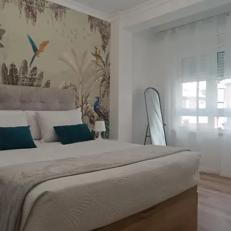 Apartament Centro Ancha De Gracia *