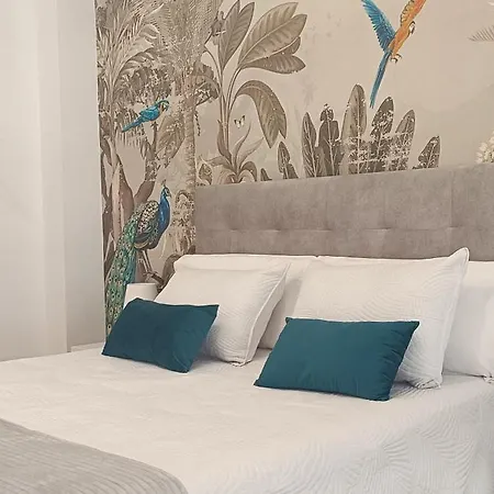 Apartament Centro Ancha De Gracia
