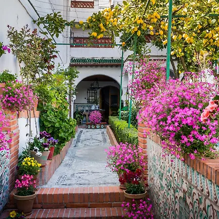 Grazaries -piso Centrico Granada- Apartment *