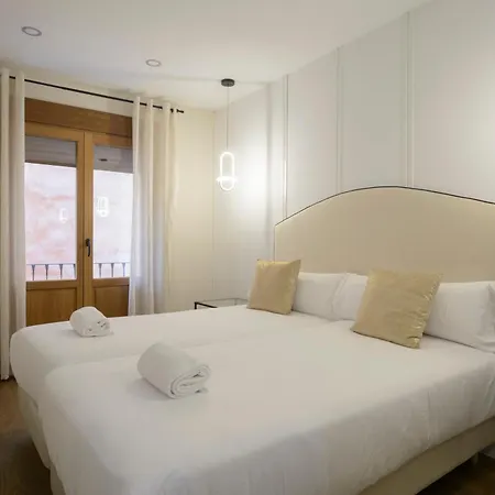 Eco Center Granatensis Pasiegas-catedral Apartment