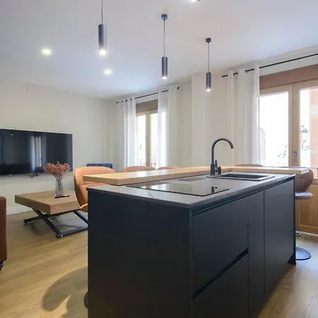 Eco Center Granatensis Pasiegas-catedral Apartment