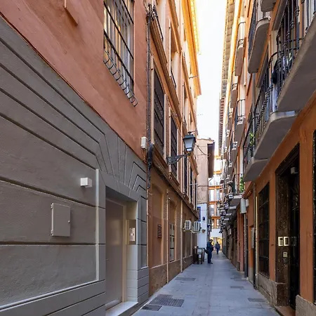 Zacatin Heritage Logde Apartment Granada