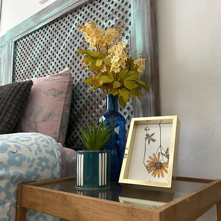 Apartamento Céntrico Piso Con Aparcamiento *