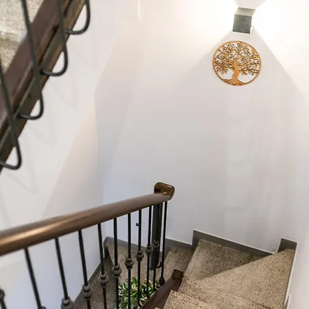 Centro Granada