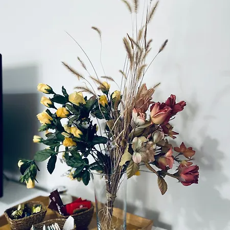 Apartamento Alhamar