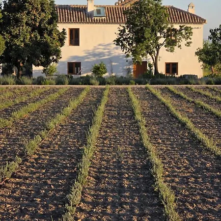 Country house Cortijo De La Seda *