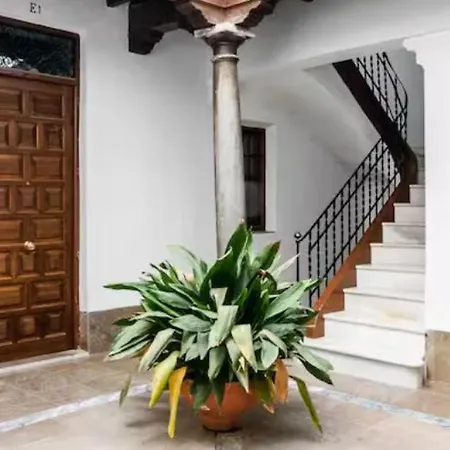 Loft Wifi Centro Espectacular Terraza Con Todos Servicios Апартаменты Гранада