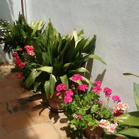 Affittacamere La Casita Del Corralon