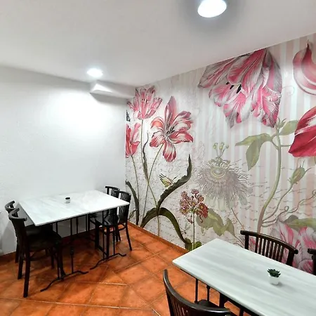 Residencia Ziri Pensión