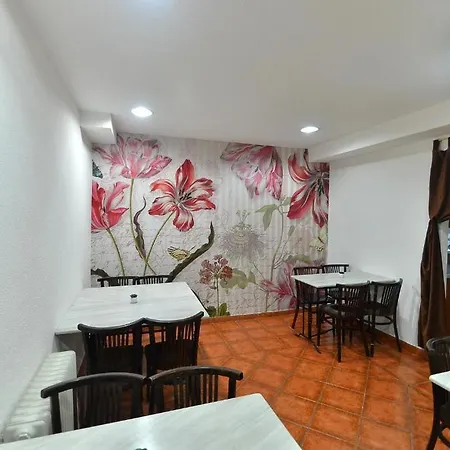 Residencia Ziri Pensión