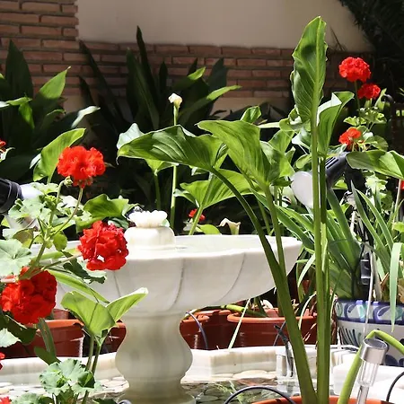 Hotel Abadia