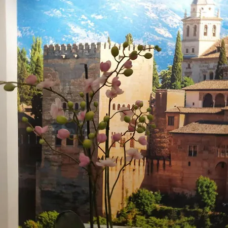 Apartamento Alhondiga 12 Granada