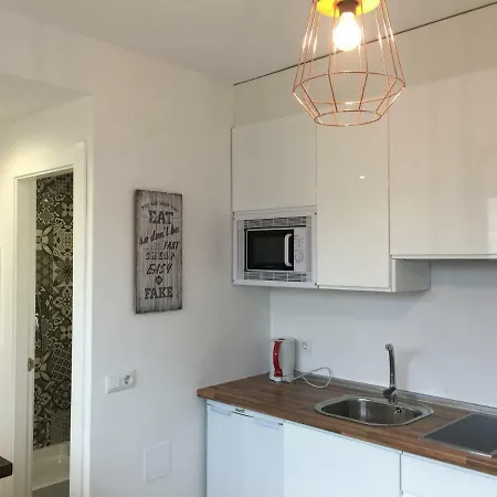 Atico. Centro. Penthouse Lejlighed Granada