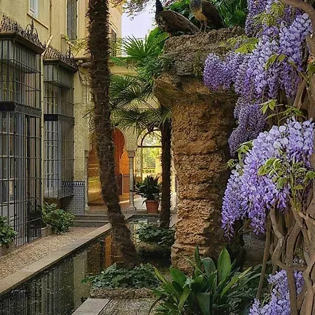 Center Granada